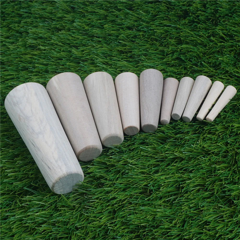 10Pcs Emergency Wooden Hole Plug Kit